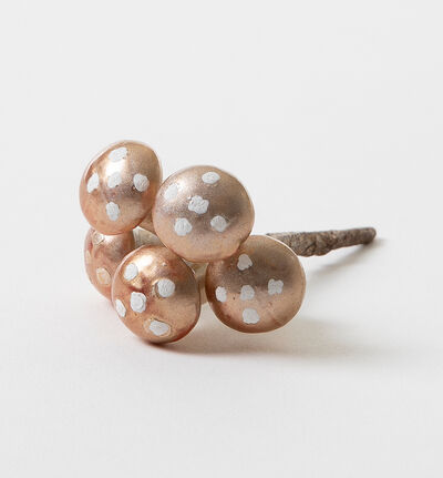 Sopp gull matt i pose Sopp gull matt i pose